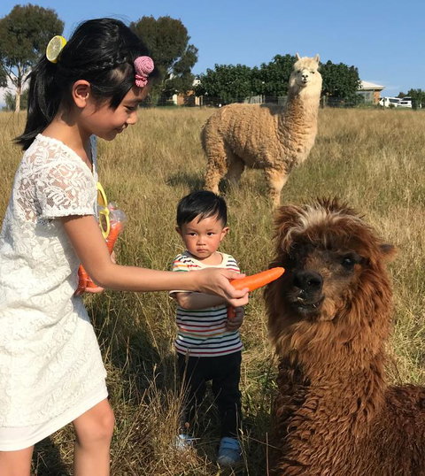 Farm Accommodation - Events Australia 3