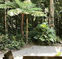 Forest Views Daintree - Tourism Bookings