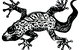 Gecko Guest House - thumb 3
