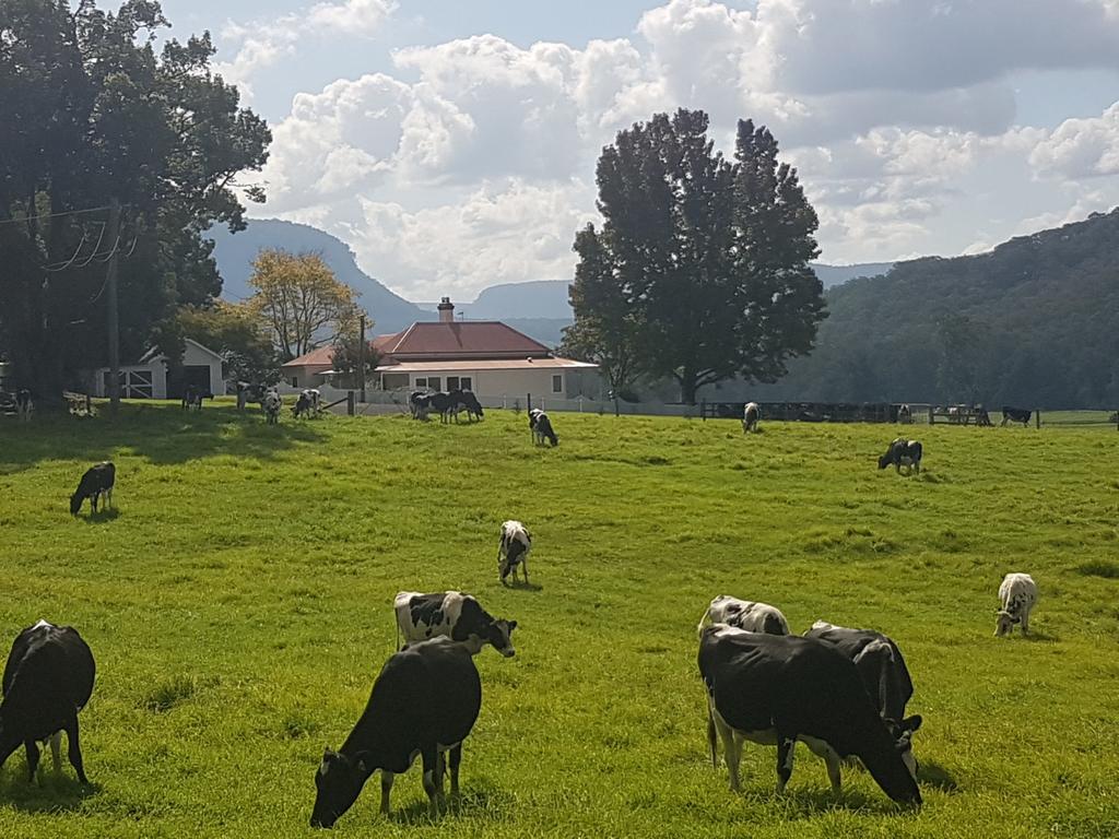 Medway NSW Tourism Bookings