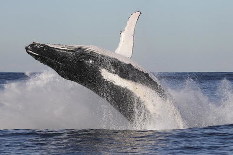 Green Cape Lightstation Cottages - Events Australia 1
