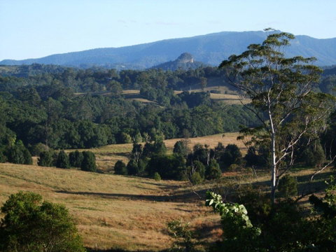 Grey Gum Lodge - Tourism Bookings 0