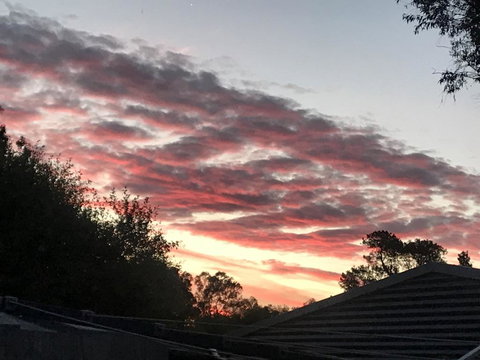 Guinevere - Events Australia 2