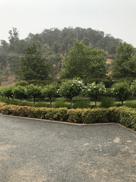 Guinevere - Events Australia 0