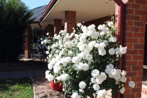 Gundaroo Manor Bed & Breakfast - Events Australia 3