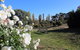 Gundaroo Manor Bed & Breakfast - thumb 2