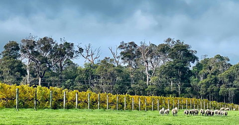 Harmony Forest Cottages & Lake Side Lodge - Events Australia 1