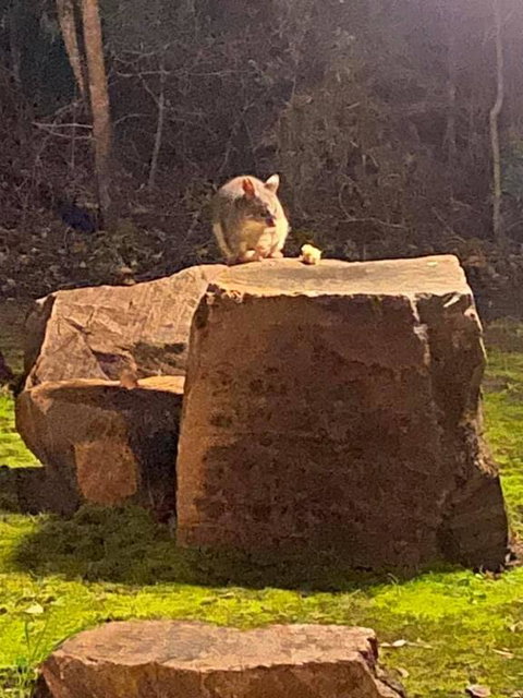 Harmony Forest Cottages & Lake Side Lodge - Events Australia 3