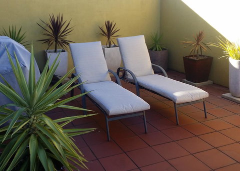 High On Penguin - Events Australia 1