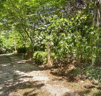 Jalscene - Events Australia