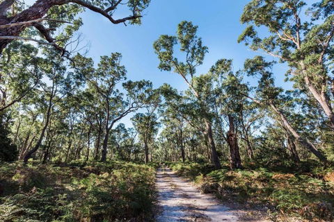 Jetty Views - Water Views On Raymond Island - Events Australia 1