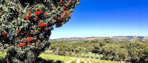 Karawatha Cottages B&B - Events Australia 2