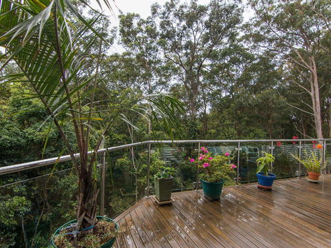 Kookaburras @ Smiths - Tourism Bookings 3
