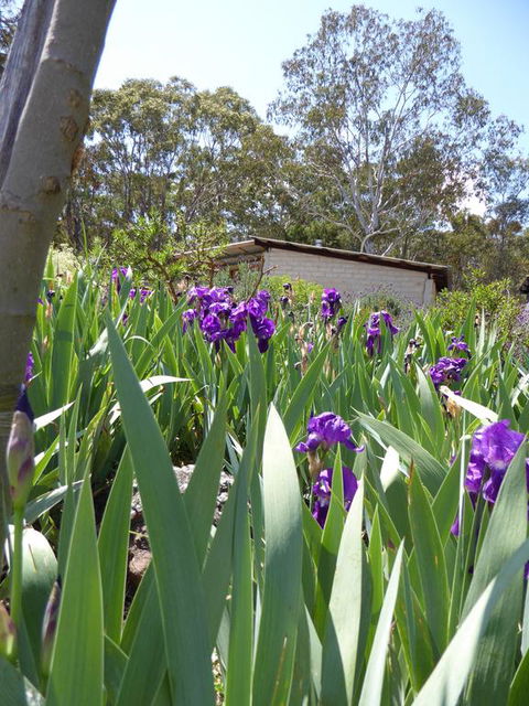 Lakeside Lodge Armidale - Tourism Bookings 3