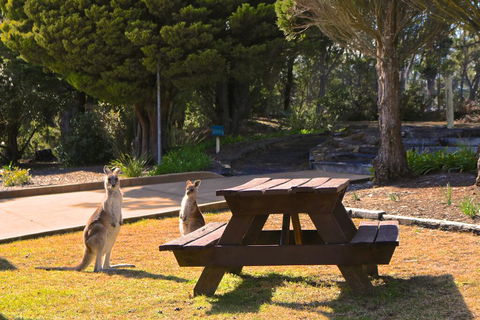 Leura Lodge At Mt Victoria - Tourism Bookings 2