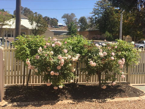 Maeville Cottage - Tourism Bookings 3