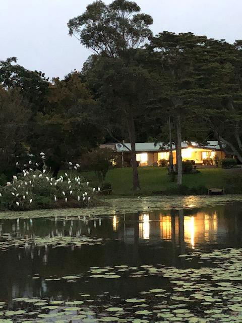 Maleny Lake Cottages-Guesthouse - Events Australia 3