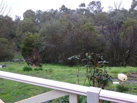 Mandall Avenue - Events Australia 1