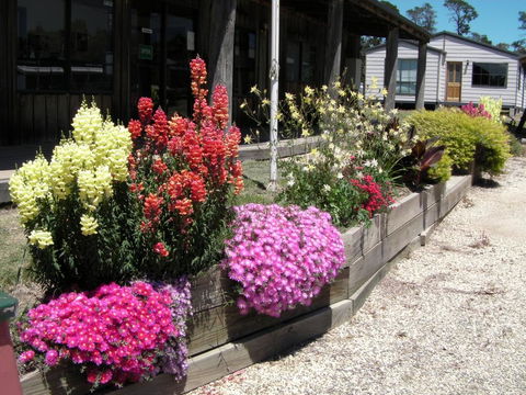 Mansfield Holiday Park - Tourism Bookings 3