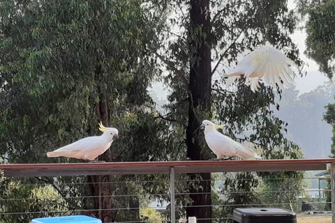 Merry Mary Casa - Tourism Bookings 3