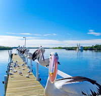 Moby Dick Waterfront Resort Motel - Tourism Bookings