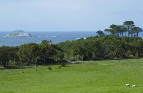 Cosy Corner Sea View Apartments - Events Australia 7