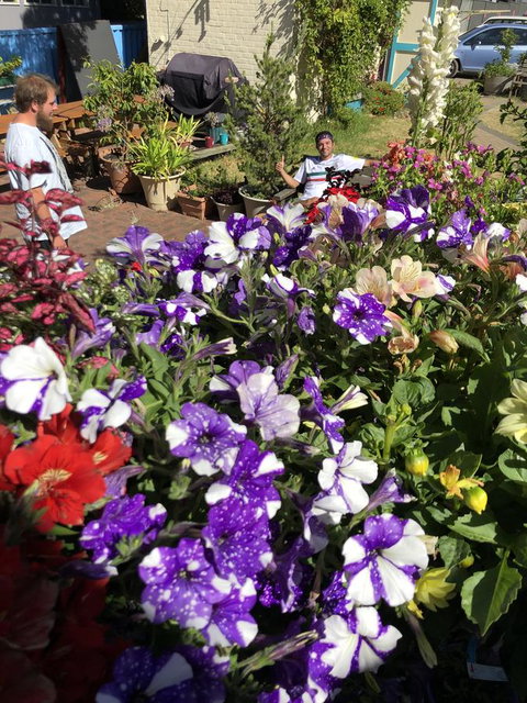 1849 Backpackers Albany - Events Australia 15