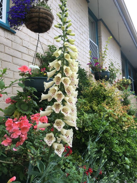 1849 Backpackers Albany - Events Australia 32