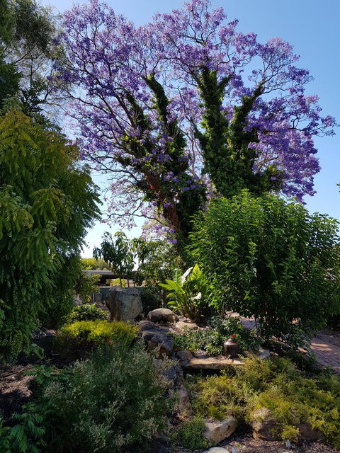 Jacaranda Hideaway Bed & Breakfast - Tourism Bookings 10