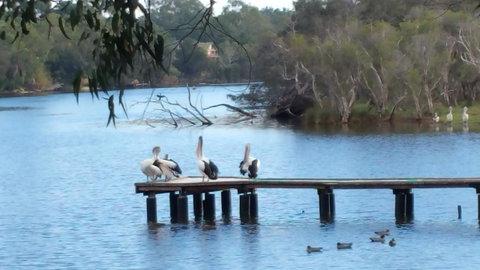 Jacaranda Hideaway Bed & Breakfast - Tourism Bookings 18
