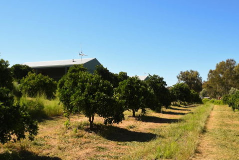 Swan Valley Sisters - Tourism Bookings 29