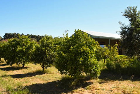 Swan Valley Sisters - Tourism Bookings 30