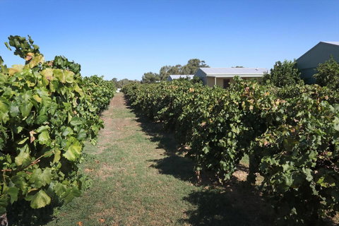 Swan Valley Sisters - Tourism Bookings 9