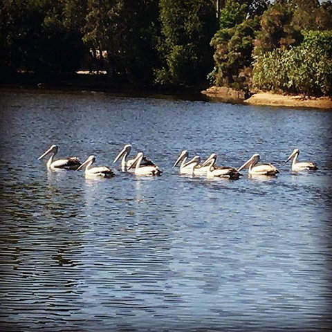 Swan Valley Sisters - Tourism Bookings 31