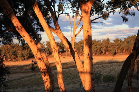 Hotham Ridge Estate - Events Australia 30