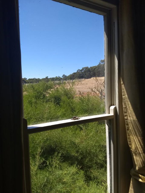 Hotham Ridge Estate - Events Australia 8