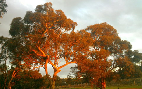 Hotham Ridge Estate - Events Australia 35