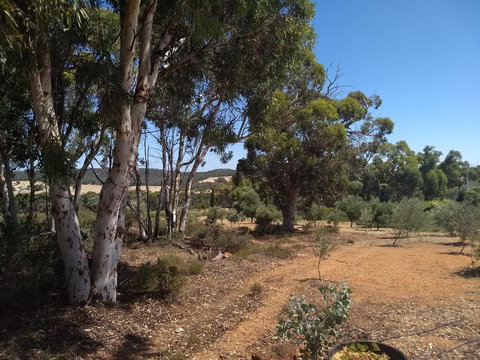 Hotham Ridge Estate - Events Australia 13