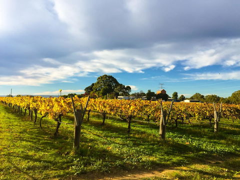 Sandpiper Retreat - Events Australia 15