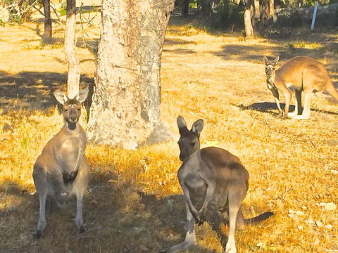 Sandpiper Retreat - Events Australia 37