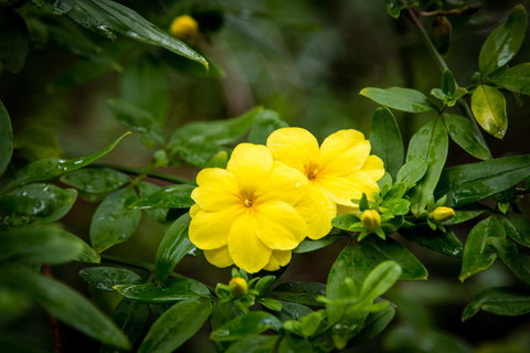 Riverglen Chalets - Events Australia 44