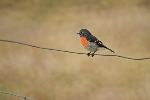 Riverglen Chalets - Events Australia 43