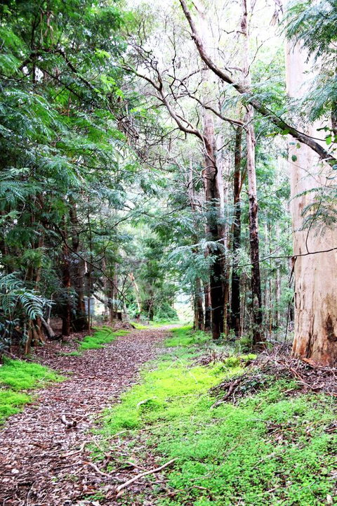 Treenbrook Cottages - Tourism Bookings 12