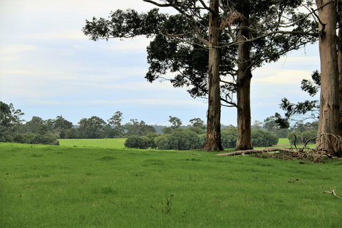 Treenbrook Cottages - Tourism Bookings 11