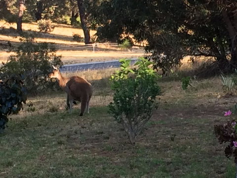 Seatrees Accommodation - Tourism Bookings 38