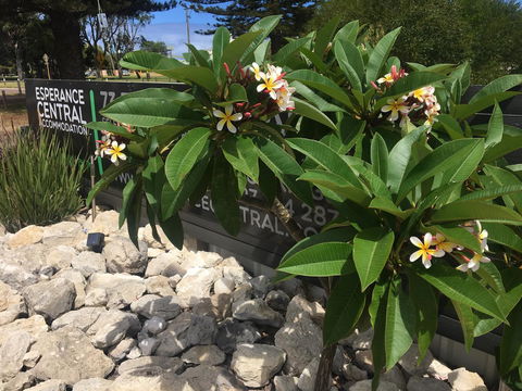 Esperance Central Accommodation - Events Australia 3