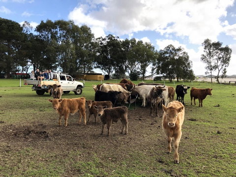 Kellers Bed And Breakfast - Events Australia 33