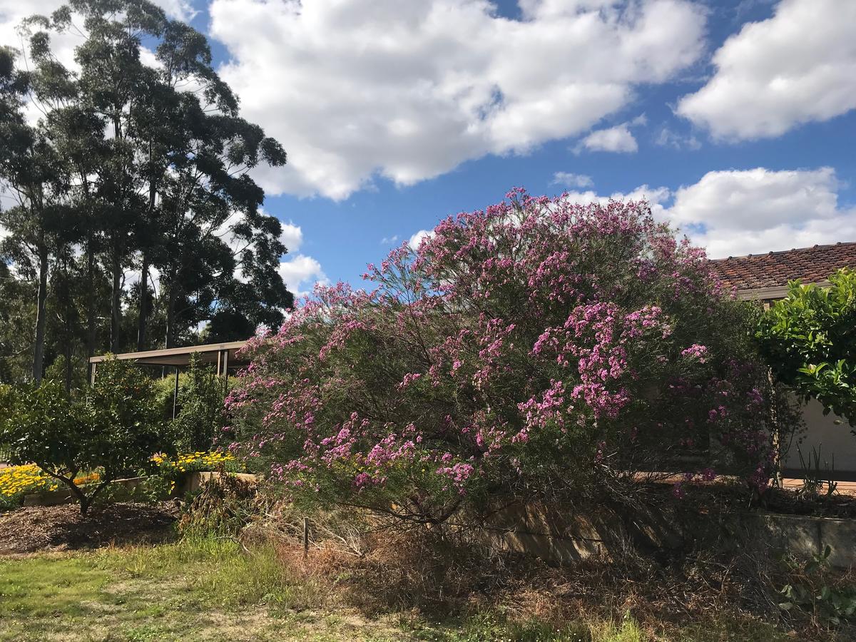 Aubin Grove WA Events Australia