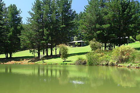 Hawke Brook Chalets - Tourism Bookings 2