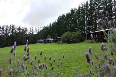 Hawke Brook Chalets - Tourism Bookings 1
